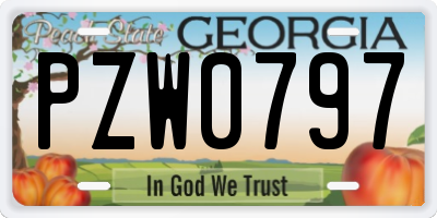GA license plate PZW0797