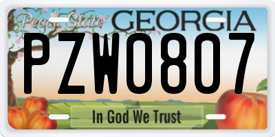 GA license plate PZW0807