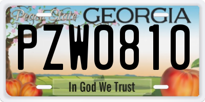 GA license plate PZW0810