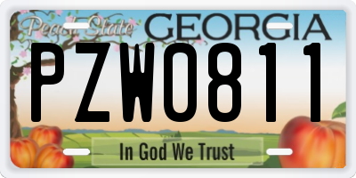 GA license plate PZW0811