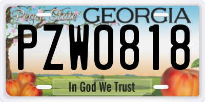 GA license plate PZW0818