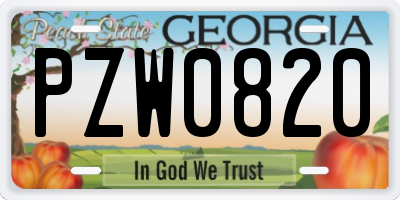 GA license plate PZW0820