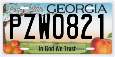 GA license plate PZW0821