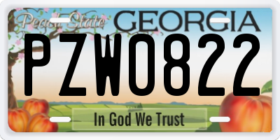 GA license plate PZW0822