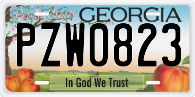 GA license plate PZW0823