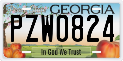 GA license plate PZW0824