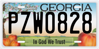 GA license plate PZW0828