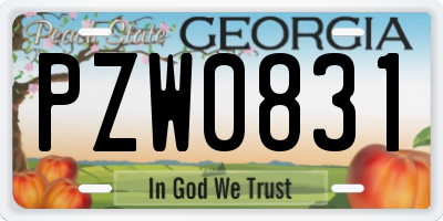 GA license plate PZW0831