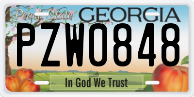 GA license plate PZW0848