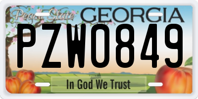 GA license plate PZW0849