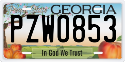 GA license plate PZW0853