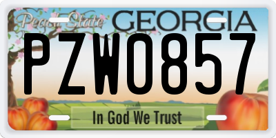 GA license plate PZW0857
