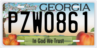 GA license plate PZW0861