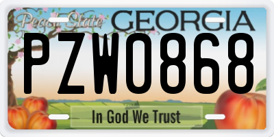 GA license plate PZW0868