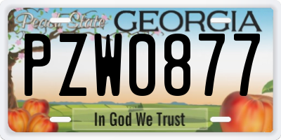 GA license plate PZW0877