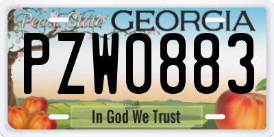 GA license plate PZW0883