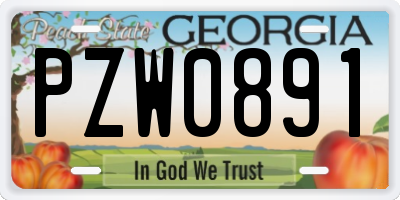 GA license plate PZW0891