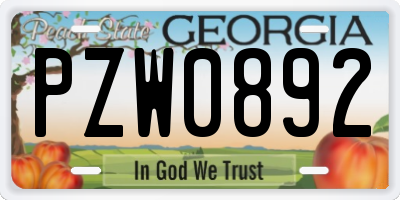 GA license plate PZW0892