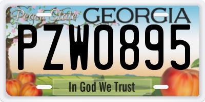 GA license plate PZW0895