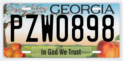 GA license plate PZW0898