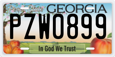 GA license plate PZW0899