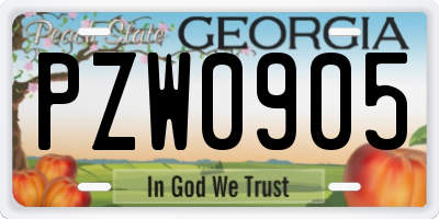 GA license plate PZW0905