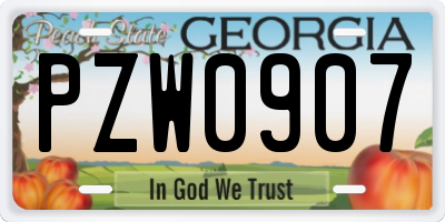 GA license plate PZW0907