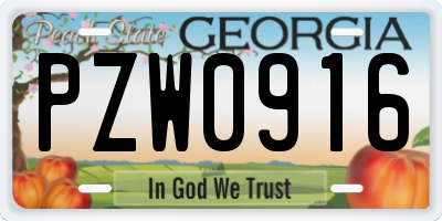 GA license plate PZW0916