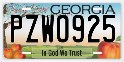 GA license plate PZW0925