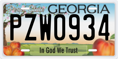 GA license plate PZW0934