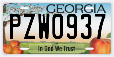 GA license plate PZW0937