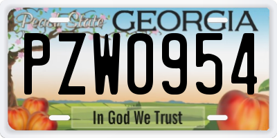 GA license plate PZW0954