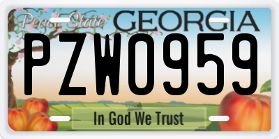 GA license plate PZW0959