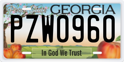 GA license plate PZW0960