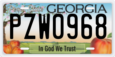 GA license plate PZW0968