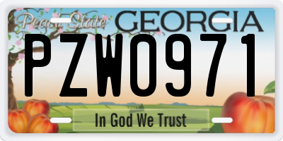 GA license plate PZW0971