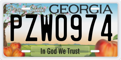 GA license plate PZW0974