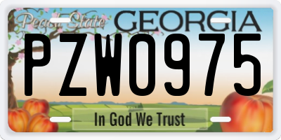 GA license plate PZW0975