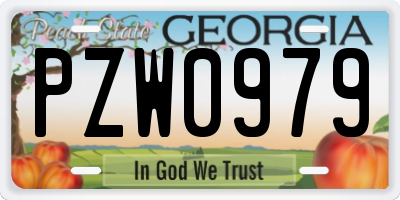 GA license plate PZW0979