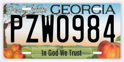 GA license plate PZW0984