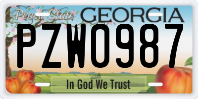 GA license plate PZW0987