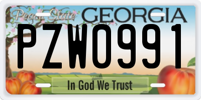 GA license plate PZW0991