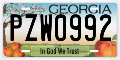 GA license plate PZW0992