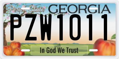 GA license plate PZW1011