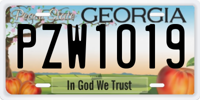 GA license plate PZW1019