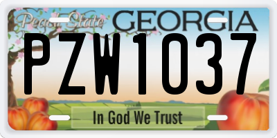 GA license plate PZW1037
