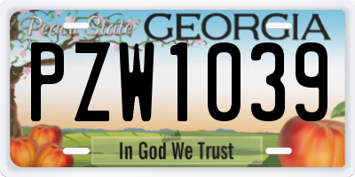 GA license plate PZW1039
