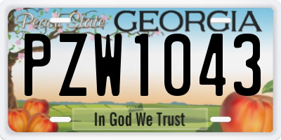 GA license plate PZW1043