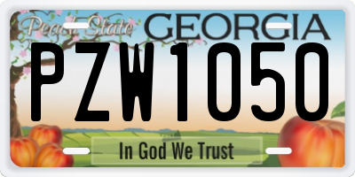 GA license plate PZW1050