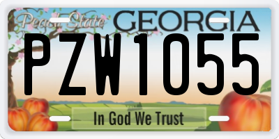GA license plate PZW1055